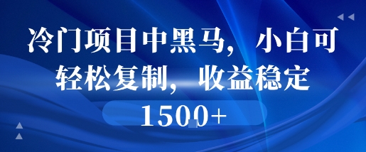 冷门项目中黑马，小白可轻松复制，收益稳定1.5k-小何资源库