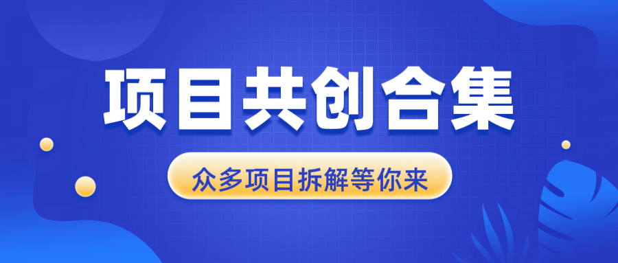 （13778期）项目共创合集，从0-1全过程拆解，让你迅速找到适合自已的项目-小何资源库