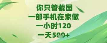 你只管截图，一部手机在家做，苹果安卓都可以，一天5张+【揭秘】-小何资源库
