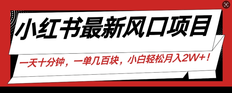 小红书最新风口项目，一天只用10分钟，一单几百块，小白简单无脑操作!-小何资源库