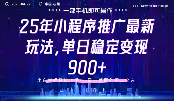 （14494期）25年小程序推广最新玩法，单日稳定变现900+，小白轻松上手-小何资源库