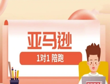 亚马逊1对1陪跑课(FBA/FBM精铺)跨境亚马逊教程-小何资源库