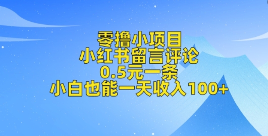 零撸小项目，小红书留言评论，0.5元一条，小白也能一天收入100+-小何资源库