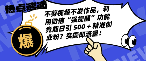 不剪视频不发作品，视频号私信日引 500 + 精准创业粉?实操即流量!-小何资源库