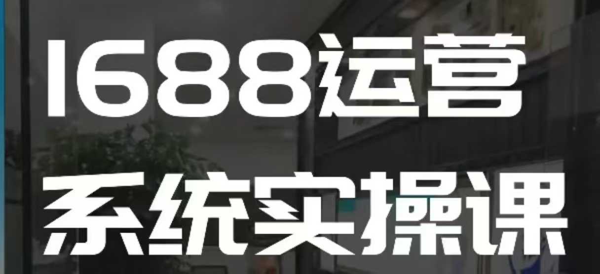 1688高阶运营系统实操课，快速掌握1688店铺运营的核心玩法-小何资源库