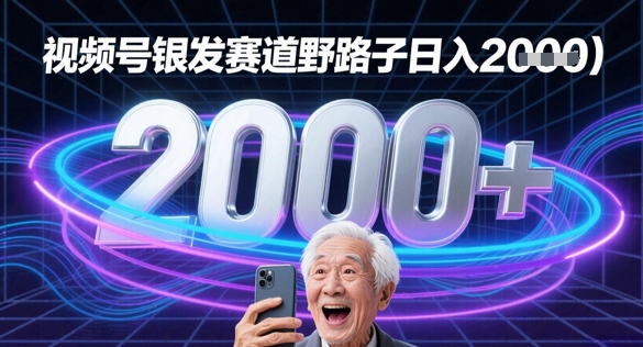 蝴蝶号银发赛道流量密码野路子日入多张-小何资源库