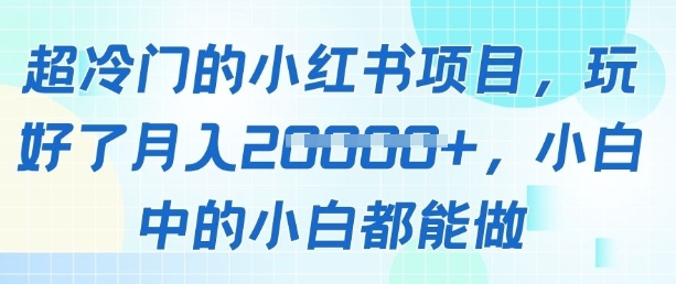 超冷门的小红书项目，玩好了月入过1w，小白中的小白都能做-小何资源库