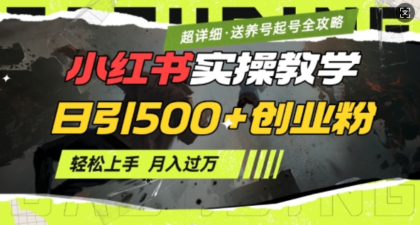2月小红书最新日引500+创业粉实操教学【超详细】小白轻松上手，月入1W+，附小红书养号起号SOP-小何资源库