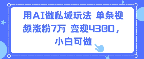 用AI做私域玩法，单条视频涨粉7W变现4.3k，小白可做-小何资源库