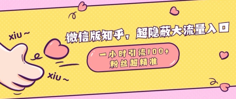 微信版知乎，超隐蔽流量入口1小时引流100人，粉丝质量超高【揭秘】-小何资源库