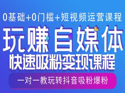 0基础+0门槛+短视频运营课程，玩赚自媒体快速吸粉变现课程，一对一教玩转抖音吸粉爆粉-小何资源库