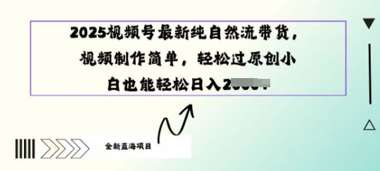 2025视频号最新纯自然流带货， 视频制作简单，轻松过原创小 白也能轻松操作-小何资源库