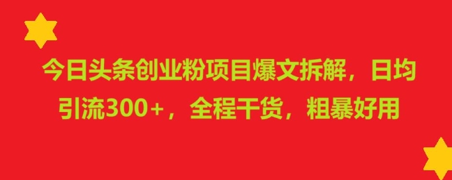 今日头条创业粉项目爆文拆解，日均引流300+，全程干货，粗暴好用-小何资源库