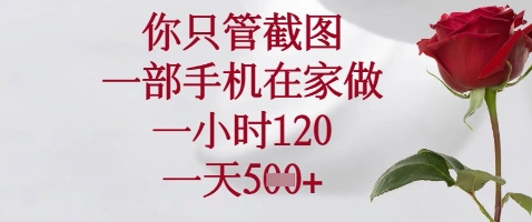 你只管截图，一部手机在家做，苹果安卓都可以，一小时120，一天5张+【揭秘】-小何资源库