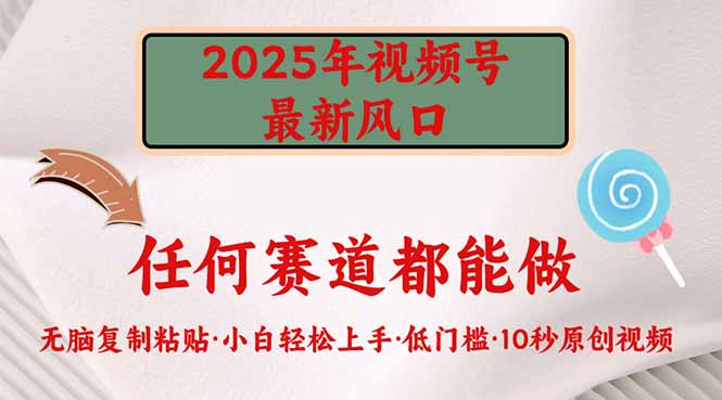 （14453期）2025年视频号新风口，低门槛只需要无脑执行-小何资源库