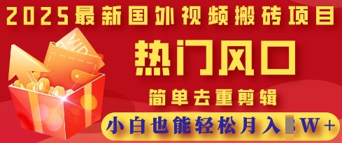 2025最新视频搬砖项目，热门风口，简单去重剪辑，小白也能轻松月入过W-小何资源库