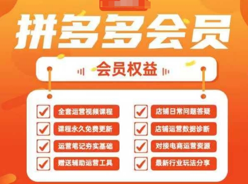 2025拼多多运营实战课，40节全流程教学，覆盖拼多多运营全链路-小何资源库