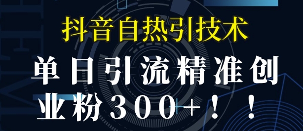 抖音自热引流，单日引流精准创业粉300+-小何资源库