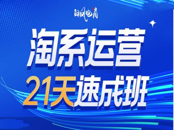淘系运营21天速成班35期，年前最后一波和2025方向-小何资源库