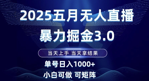 2025五月无人直播暴力掘金3.0，当天上手，当天拿结果，单号日入1k+小白可做可矩阵【揭秘】-小何资源库