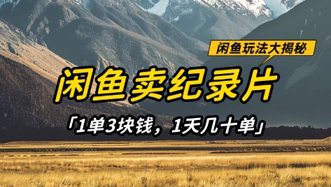 闲鱼卖纪录片1单3块钱，1天几十单，项目稳定有潜力-小何资源库