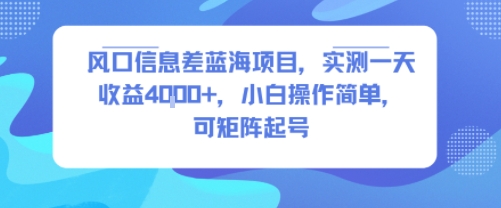 风口信息差蓝海项目，实测一天收益4k+，小白操作简单，可矩阵起号-小何资源库