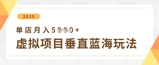 虚拟项目垂直玩法，实现单店月入5k+-小何资源库