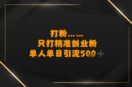 打粉只打精准创业粉，单人单日引流500+-小何资源库