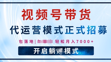 视频号代运营，全程托管计划招募，躺Z模式，单月轻松变现7k-小何资源库