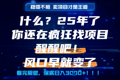 什么？25年你还在疯狂找项目做，醒醒吧，看完这些你全都懂了！【揭秘】-小何资源库