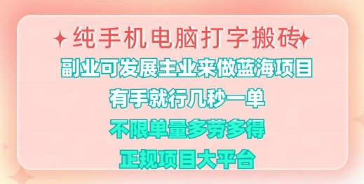 纯手机电脑打字搬砖，有手就行，几秒一单，多劳多得，正规项目大平台【揭秘】-小何资源库