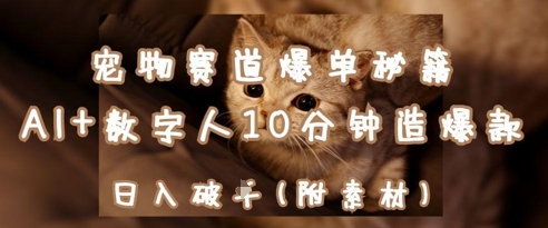 宠物赛道爆单秘籍：AI+数字人10分钟造爆款，日入1k-小何资源库