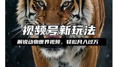 利用动物世界解说视频，赚分成计划收益，轻松月入过W，操作简单【揭秘】-小何资源库