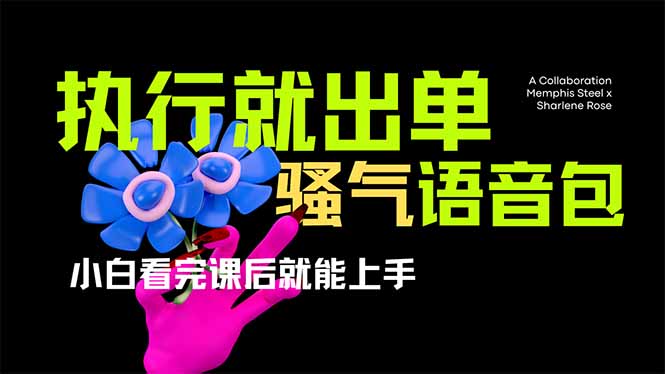 （14170期）爆火全网的开车导航骚气语音包,只要执行就出单，小白看完课程就能实操…-小何资源库