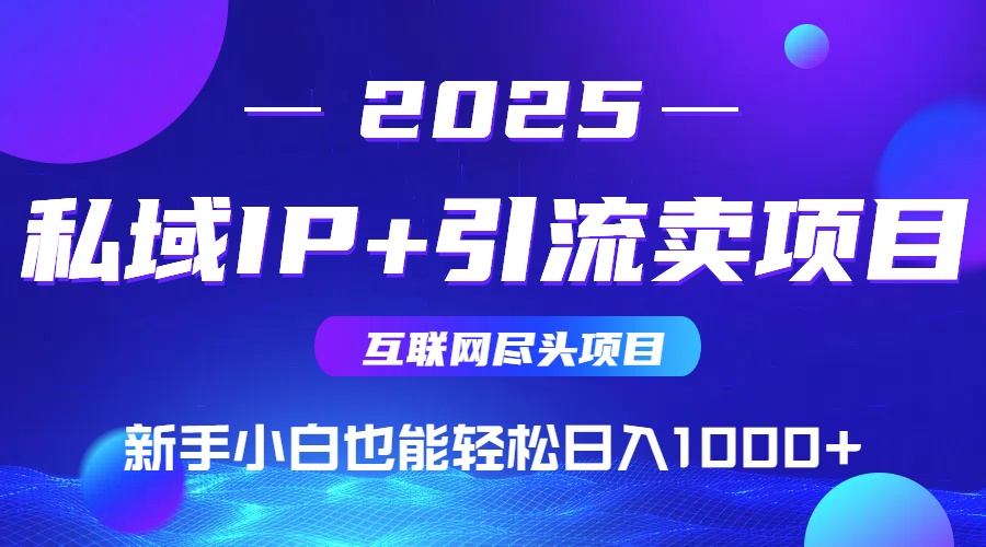 （15531期）2025网创尽头项目，私域IP+引流，新手小白也能在家日入1000+-小何资源库