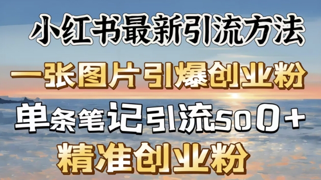 小红书最新引流方法，一张图片引爆创业粉-小何资源库