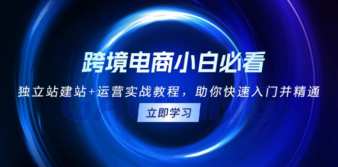 （13503期）跨境电商小白必看！独立站建站+运营实战教程，助你快速入门并精通-小何资源库