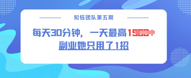 副业她只用了1招，每天30分钟，无脑二创，一天最高1.5k-小何资源库