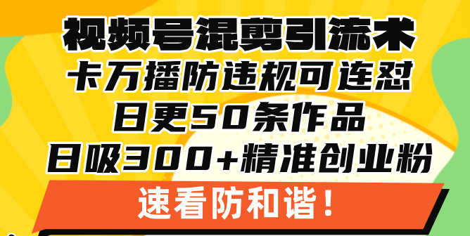 （13400期）视频号混剪引流技术，500万播放引流17000创业粉，操作简单当天学会-小何资源库