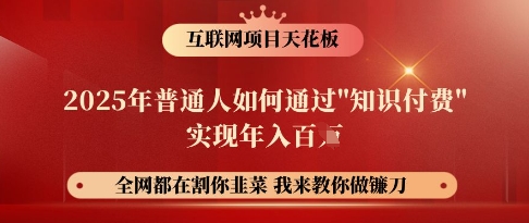 互联网项目天花板，2025年普通人如何通过知识付费实现年入百个【揭秘】-小何资源库