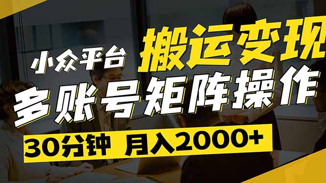 （14288期）得物平台变现新蓝海！无脑复制热门视频，多账号同步运营，每天半小时躺…-小何资源库