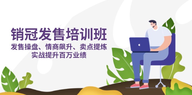 （14203期）销冠 发售培训班：发售 操盘+情商 飙升+卖点 提炼，实战提升百万业绩-小何资源库