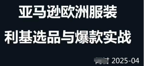 跨境电商选品案例24-25年，聚焦跨境电商选品策略与运营优化，助力卖家挖掘蓝海市场-小何资源库