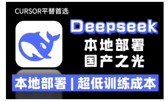 2025年deepseek R1 大型模型本地安装部署(文件+教程)本地部署，超低训练成本-小何资源库