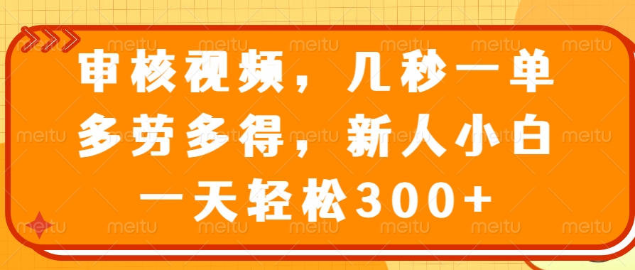 （14294期）审核视频，几秒一单，多劳多得，新人小白一天轻松300+-小何资源库