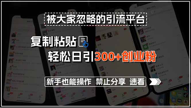 （15428期）被大家忽略的引流平台，复制粘贴轻松日引300+创业粉，新手也能操作，禁…-小何资源库