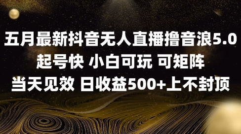 2025五月最新无人直播撸音浪单日产出5张+实操教程【揭秘】-小何资源库
