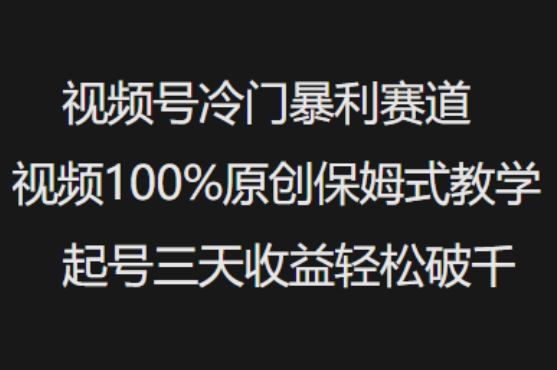 视频号冷门暴利赛道视频100%原创保姆式教学起号三天收益轻松破千-小何资源库