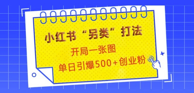小红书“另类”打法，开局一张图，单日引爆500+精准创业粉【揭秘】-小何资源库