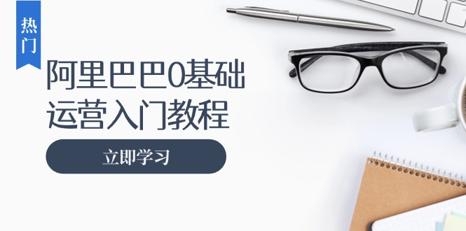（13291期）阿里巴巴运营零基础入门教程：涵盖开店、运营、推广，快速成为电商高手-小何资源库